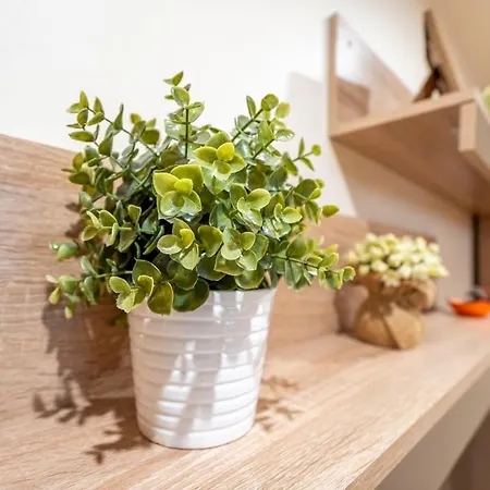 Spacious&central Retreat Apartamento *