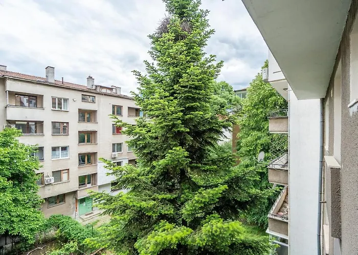 Spacious And Retreat *