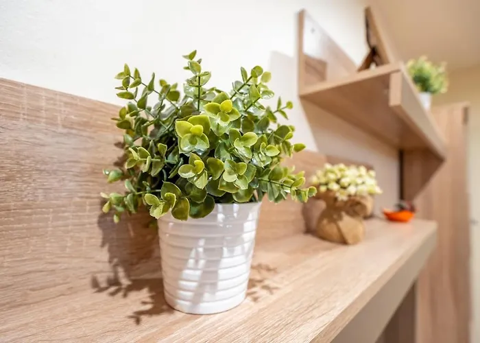 Spacious And Retreat Daire *